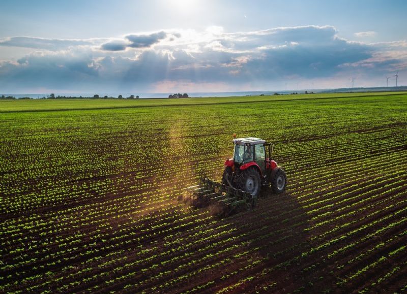 Un informe advierte que la presión fiscal y la falta de infraestructura ahogan el potencial del campo