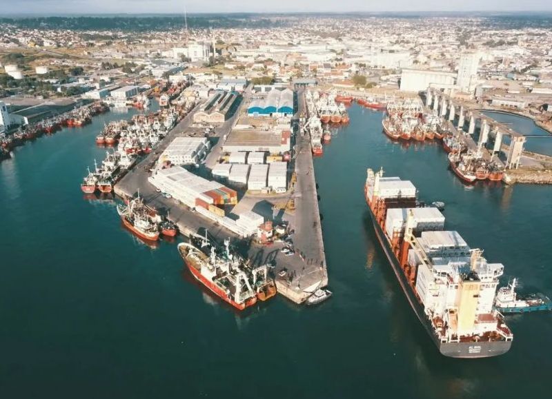 VIDEO | Denuncian que plantas pesqueras de Mar del Plata operaron sistemas menos eficientes para tratar emisiones