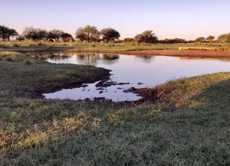 En la legislatura pampeana se debatió un proyecto de ley -presentado en septiembre del año pasado- que involucra la expropiación de unas 108.000 hectáreas para la creación de un parque nacional.