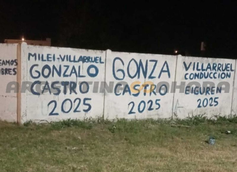 Van detrás de la imagen de la vicepresidente Victoria Villarruel. (Foto: Argentina Ahora)