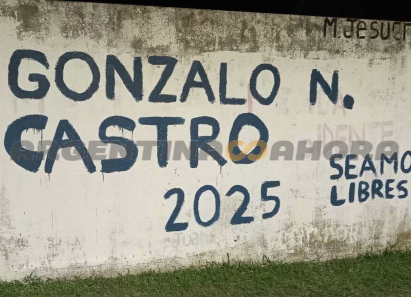 Seamos Libres y Partido Moderado salieron a pintar en todos los rincones de la provincia de Santa Fe. (Foto: Argentina Ahora)