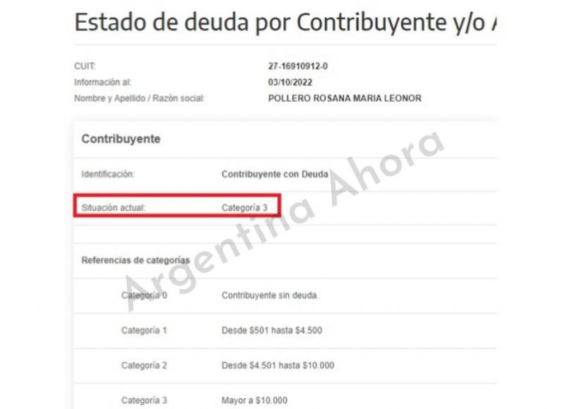 La situación de Pollero ante ARBA por una deuda.