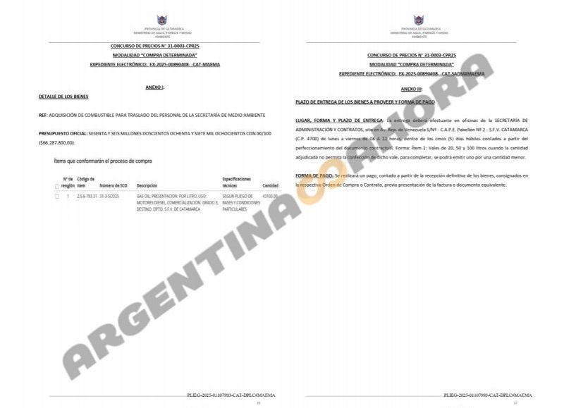 Documentación del pliego. (Foto: Argentina Ahora)