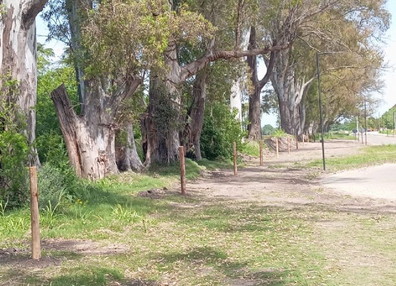 VIDEO | Mercedes enfrenta un escándalo por presunta usurpación de tierras fiscales con vínculos políticos