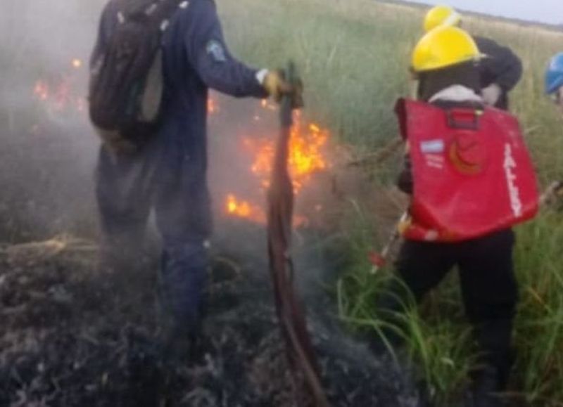 Se registraron cuatro focos de incendio en la Reserva Natural de Punta Lara.