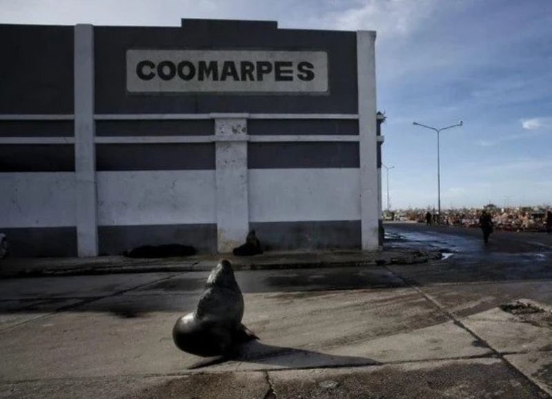 Denuncian que Mar del Plata convivió durante años con emanaciones industriales y posible exposición a metales pesados