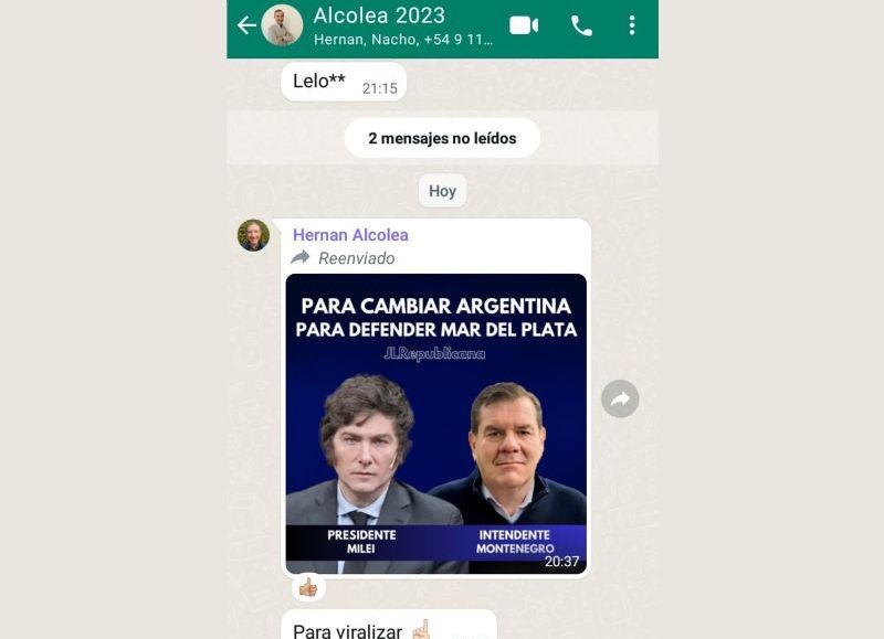 Chat filtrado de un grupo de Juntos por el Cambio (JxC) para robarle votos a La Libertad Avanza (LLA).