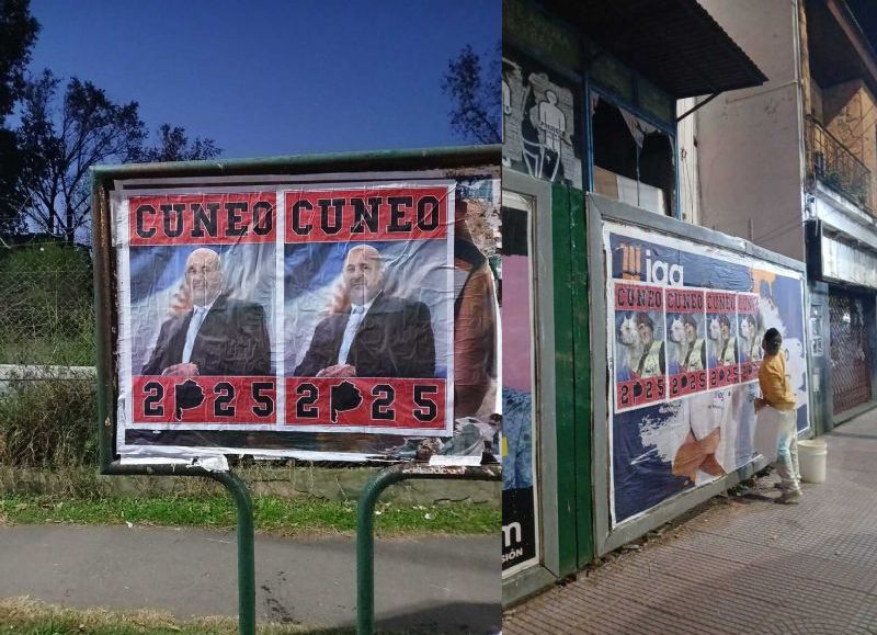 Aparecieron afiches de un nuevo candidato en la provincia de Buenos Aires.