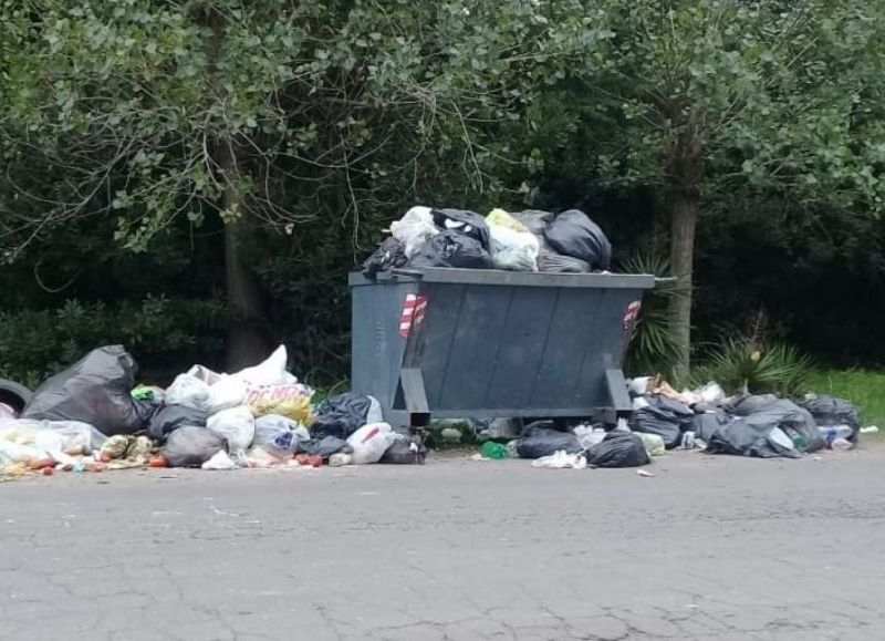 Queja de vecinos ante la presencia de basura y animales muertos en San Carlos