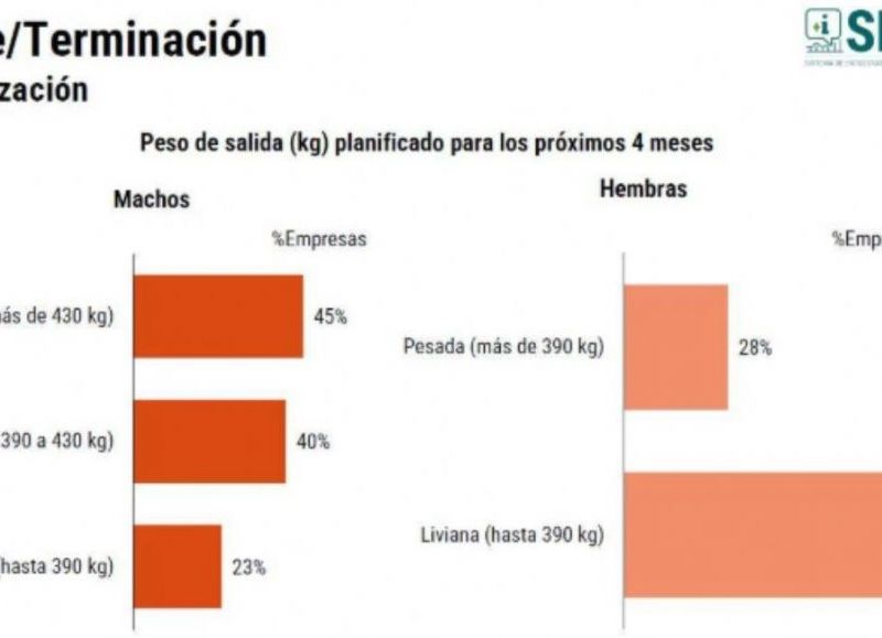 Una economía que se achica mientras crece la distancia entre promesas y realidad.