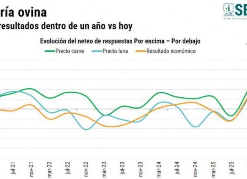 El presente económico expone el fracaso de políticas improvisadas y la falta de un rumbo claro.
