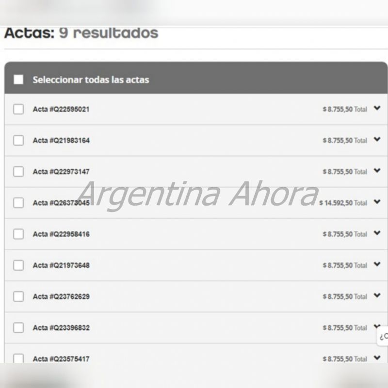 La flota de automotores y la fotomulta sobre uno de los autos de Correa. (Foto: Argentina Ahora)