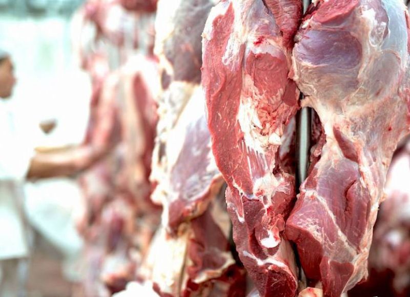 Las exportaciones de carne bovina de Argentina cayeron un 29,3 por ciento interanual en junio, a cerca de 35.000 toneladas.