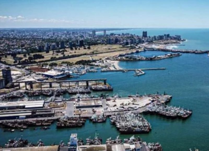 VIDEO | La causa por contaminación suma una prueba clave: Mar del Plata registró niveles récord de trimetilamina
