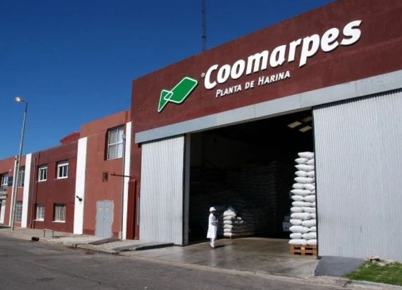 VIDEO | Mar del Plata enfrenta nuevas denuncias por olores y gases provenientes de harineras de pescado