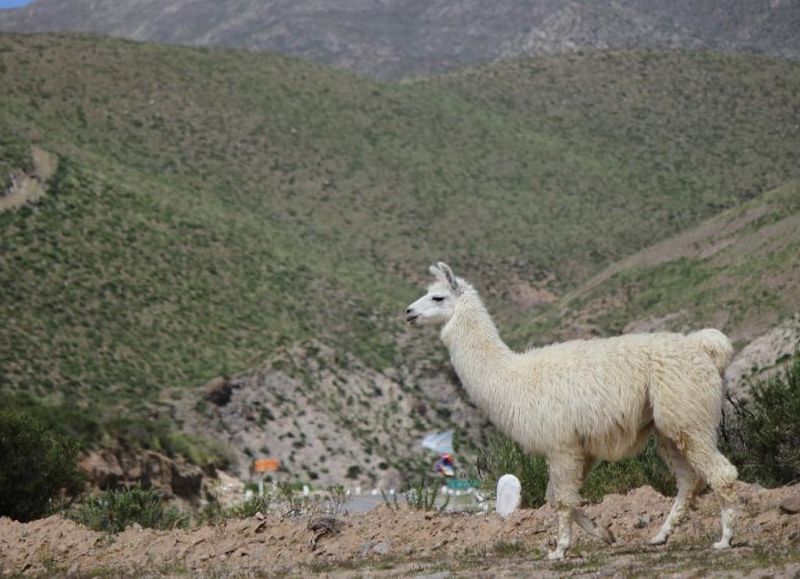 El pueblo aún conserva ruinas y parte de las culturas precolombinas de quienes habitaron sus cerros, que luego se mezclaron con las costumbres españolas.