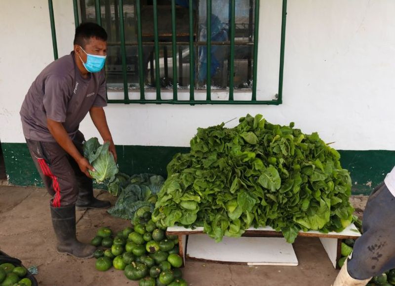 También donaron 125 kilos de frutas y verduras a un comedor de San Carlos.