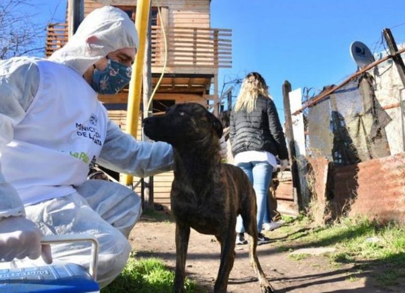 La Municipalidad de La Plata continúa trabajando para promover el bienestar animal y la convivencia responsable.